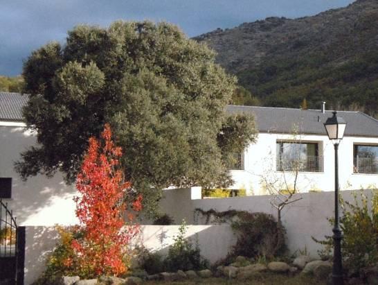 El Hotelito Navaluenga Exteriör bild